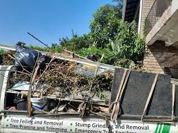 Shed Removal in Moss Point, MS
